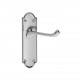 Asec Door Handle